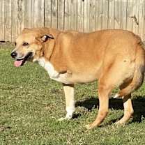 Thumbnail photo of MAVERICK #3