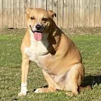 Thumbnail photo of MAVERICK #4