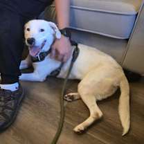 Thumbnail photo of Krista #2