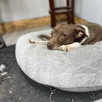 Thumbnail photo of Aida-A Potatah #3