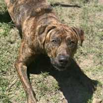 Thumbnail photo of Mimi #4