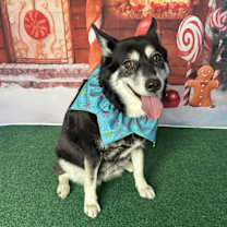 Thumbnail photo of Jackie #4