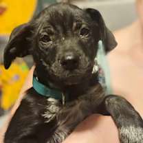 Thumbnail photo of Ima Save Money #2