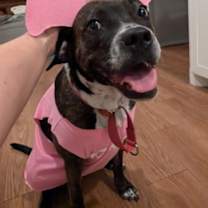 Thumbnail photo of Marjorie #1