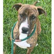 Thumbnail photo of Elsa #2