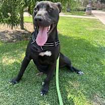 Thumbnail photo of Morocco #2