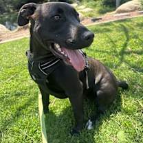 Thumbnail photo of Morocco #4