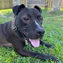 Thumbnail photo of Max #3