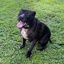 Thumbnail photo of Max #4