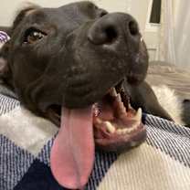 Thumbnail photo of Masha #1