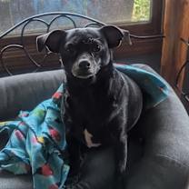 Thumbnail photo of Otto #3