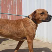 Thumbnail photo of Mario #2