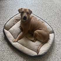 Thumbnail photo of Magdalena #1