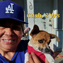 Thumbnail photo of Carmelo #3