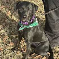 Thumbnail photo of Carrie #1