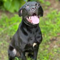 Thumbnail photo of McDuff #2