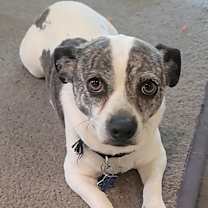 Thumbnail photo of Summit #3