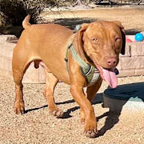 Thumbnail photo of Oscar #1