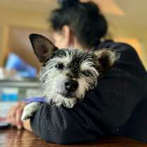 Thumbnail photo of Gene #2