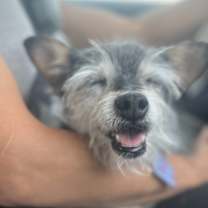 Thumbnail photo of Gene #3