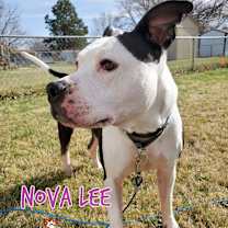 Thumbnail photo of Nova Lee #2