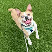 Thumbnail photo of Steve #2