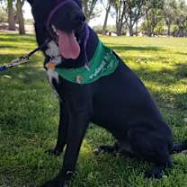 Thumbnail photo of Oliver #3