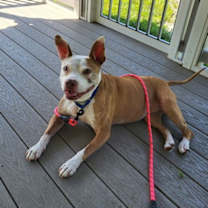 Thumbnail photo of Lena #1