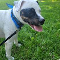 Thumbnail photo of Talia #4