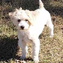 Thumbnail photo of Amir #2