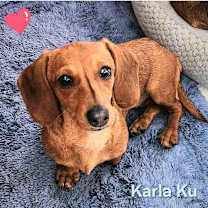 Thumbnail photo of Karla and Katy #1