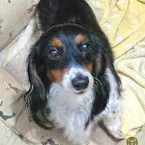 Thumbnail photo of Karla and Katy #2