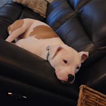 Thumbnail photo of McGee #3