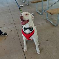 Thumbnail photo of Lyle #1