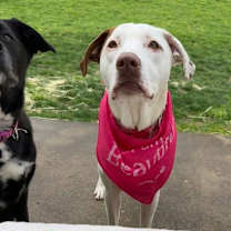 Thumbnail photo of Lyle #3