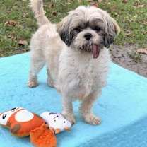 Thumbnail photo of Marnie #1