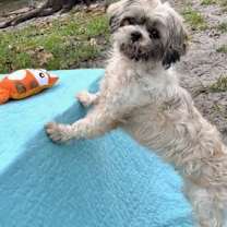 Thumbnail photo of Marnie #2