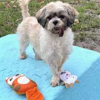 Thumbnail photo of Marnie #3