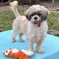 Thumbnail photo of Marnie #4