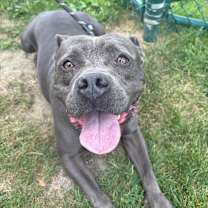 Thumbnail photo of Brady #4