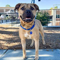 Thumbnail photo of Roman #1