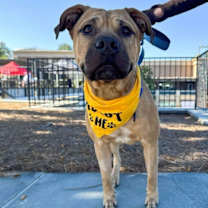 Thumbnail photo of Roman #2