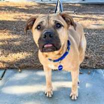 Thumbnail photo of Roman #3