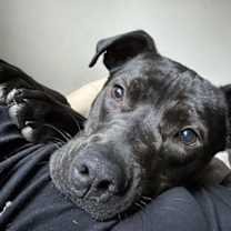 Thumbnail photo of RAIN #1