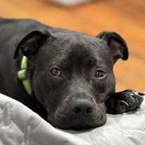 Thumbnail photo of RAIN #2