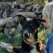 Thumbnail photo of Koda #1
