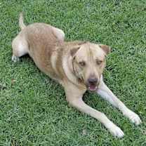 Thumbnail photo of Zuko #4