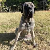 Thumbnail photo of Kenzo #2