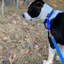 Thumbnail photo of Dan #2