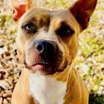 Thumbnail photo of Hazel #1